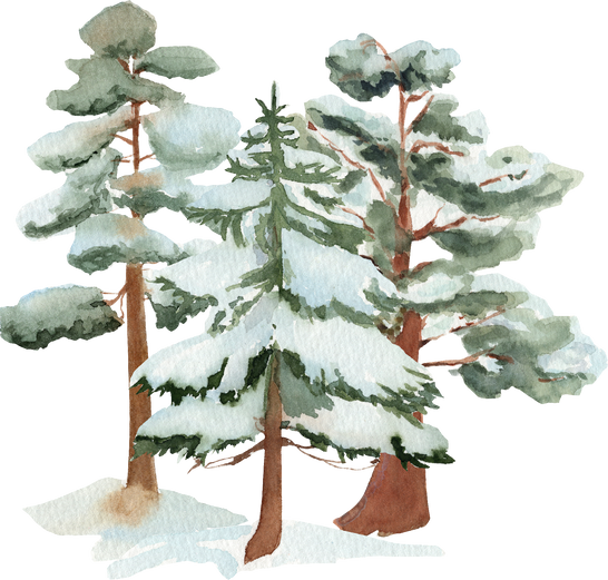 Watercolor winter trees with snow